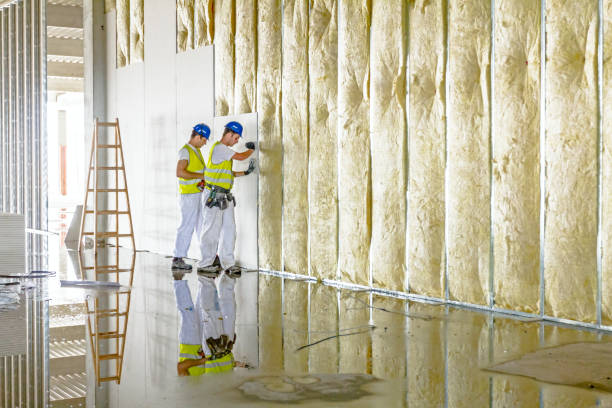 Best Energy-efficient Insulation  in Nemacolin, PA